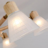 фото Потолочная люстра Arte lamp MELEPH A4096PL-5BR
