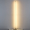 фото Торшер Tubo, золото Lightstar 748733