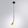 фото Подвесной светильник Arte Lamp BOLLA-UNICA A1924SP-1BK