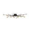 Потолочный светильник Freya Celebrity FR5242CL-24B, черный