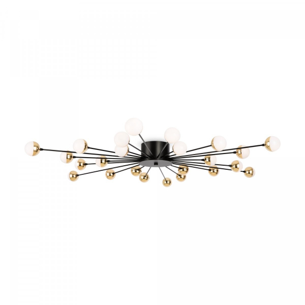 Потолочный светильник Freya Celebrity FR5242CL-24B, черный