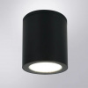 фото Уличный потолочный светильник Arte Lamp TORCULAR A1813PF-1BK