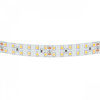 фото Лента теплого белого свечения 24V Lightstar 421503