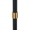 фото Торшер Arte Lamp JAMIE A4090PN-1BK