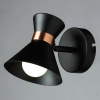 фото Спот Arte Lamp BALTIMORE A1406AP-1BK