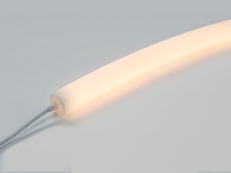 фото Лента неоновая 360°, D22, IP67, 24В, SMD2835, 360led/m, 18W/m, 3000K, SWG22D-2360-24-WW-67, катушка 5 м