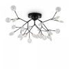 Потолочный светильник Freya Florencia FR5049CL-27B, черный