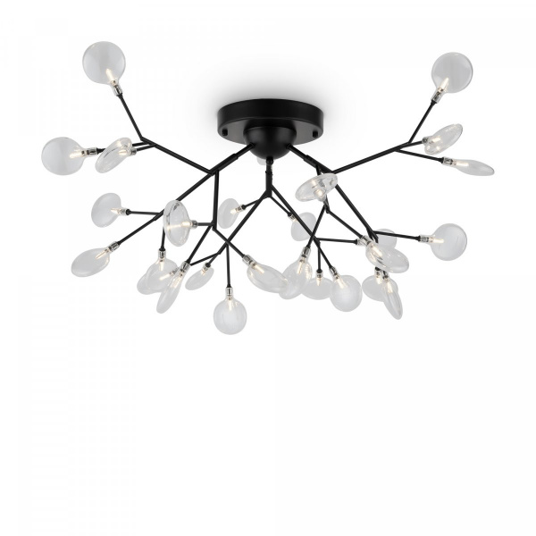 Потолочный светильник Freya Florencia FR5049CL-27B, черный