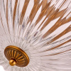 фото Потолочная люстра Arte Lamp SCHELENBERG A4410PL-3SR