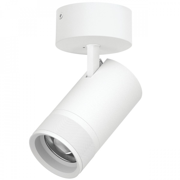 Светильник накладной 40W 2800LM 20-55G с адаптером Canno Pro, белый Lightstar C4406SO