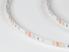 фото Лента светодиодная SWG DSG 3528 WW 60L-V12-IP33, 2700 K, 300 LED, 4,8 W/m, LUX, катушка 5 м