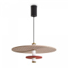 фото Подвесной светильник Freya Acoustic FR5494PL-L9TR, черный