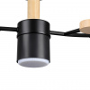 фото Черный, металл/дерево/пластик Потолочный светильник LED GX53 5*9W 220V CRYPTO COMFI, арт. 8194/5C