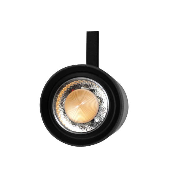 фото Светильник тушка BARRA/QUATTRO высокого качества света с углом рассеивания 20-55G Canno Pro, черный Lightstar 304207