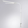фото Офисная настольная лампа Arte Lamp TILT A5127LT-1WH