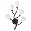 Черный матовый/белый/фарфор Бра G4 LED 5*5W GARDI MODERN, арт. 5090/5W