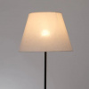фото Торшер Arte Lamp ALEA A5068PN-1BK