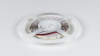 фото Лента светодиодная SWG DSG 2835 W 168L-V24-IP33, 6000 K, 840 LED, 17W/m, 5000*10*2 mm, катушка 5 м