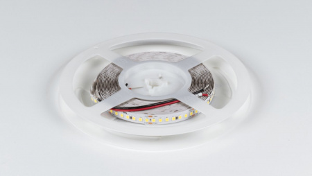 фото Лента светодиодная SWG DSG 2835 W 168L-V24-IP33, 6000 K, 840 LED, 17W/m, 5000*10*2 mm, катушка 5 м