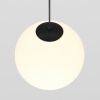 фото Трековый подвесной светильник Maytoni Technical Luna TR039-2-5W3K, черный