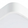 фото Потолочный светильник Arte Lamp SCENA A2663PL-1WH