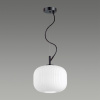 фото Белый/черный Подвес E27 60W ROOFI PENDANT, арт. 4753/1