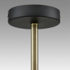 фото Черный/тонированный металл/стекло Люстра потолочная E27 4*60W 220V ERENA COMFI, арт. 8062/4C