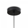 фото Подвесной светильник Freya Sepia FR5391PL-03CFL, черный