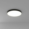 фото Потолочный светильник Arte Lamp FADO A7399PL-1BK