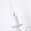 фото Бра Arte Lamp ISABEL A1129AP-1WH