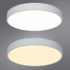 фото Потолочный светильник Arte Lamp ARENA A2661PL-1WH