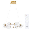 Подвесная люстра Arte Lamp Crocus A2780LM-30PB