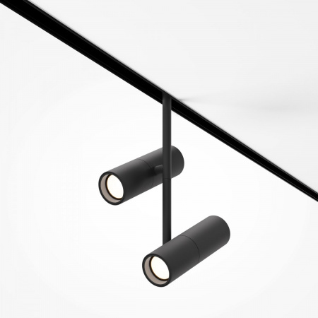 фото Трековый светильник Maytoni Technical Elti Duo TR005-2-2X12W3K-B, черный