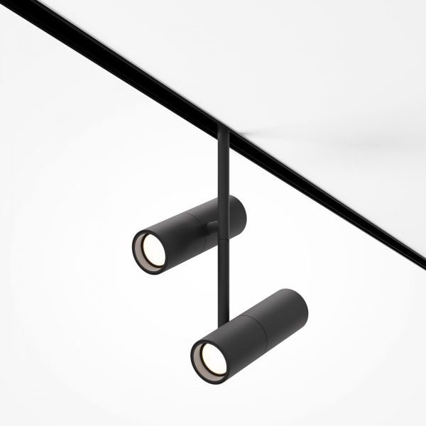 фото Трековый светильник Maytoni Technical Elti Duo TR005-2-2X12W3K-B, черный