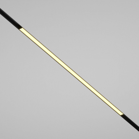 фото Трековый светильник Maytoni Technical Basis TR030-2-30W2.7K-B, черный