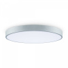 фото Потолочный светильник Freya FR6129CL-L80GR, серый
