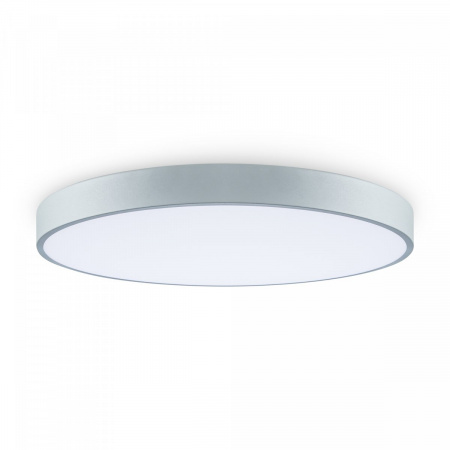 фото Потолочный светильник Freya FR6129CL-L80GR, серый