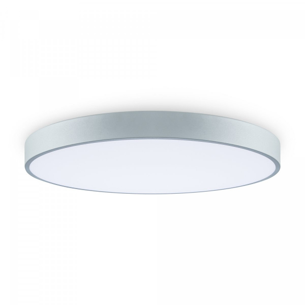 фото Потолочный светильник Freya FR6129CL-L80GR, серый