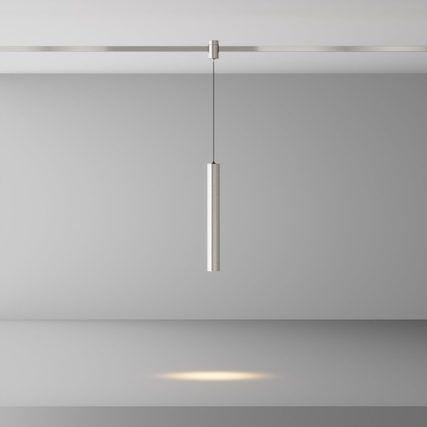 фото Трековый светильник Maytoni Technical Focus Led TR155-1-5W3K-PT, платина