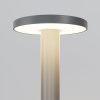 фото Ландшафтный светильник Maytoni Outdoor Wald O420FL-L12GF1, графит