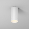 фото Уличный потолочный светильник Maytoni Outdoor Luxe O500CL-L5W3K, белый
