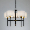 фото Подвесная люстра Arte Lamp JAMIE A4090LM-5BK