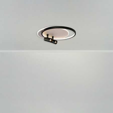 фото Потолочный светильник Freya FR6083CL-L106WB, бело-черный