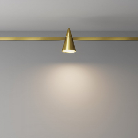 фото Трековый светильник Maytoni Technical Keila TR146-1-5W3K-BS, латунь