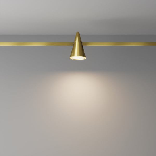 фото Трековый светильник Maytoni Technical Keila TR146-1-5W3K-BS, латунь