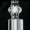 фото Подвесная люстра Arte Lamp ALHENA A4091LM-5CC