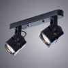 фото Спот Arte Lamp MISAM A1315PL-2BK
