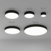 фото Потолочный светильник Arte Lamp FADO A7335PL-1BK