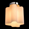 фото Потолочный светильник Arte Lamp SERENATA A3479PL-1CC
