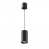 Подвесной светильник Maytoni Vol P100PL-20W4K-B, черный